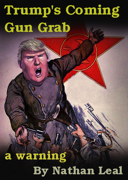 gun-grab-sm