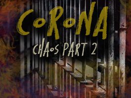 CoronaVirus Chaos Part 2 – Now on Youtube